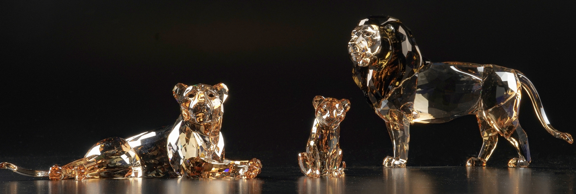 Swarovski: Crystalized Elegance