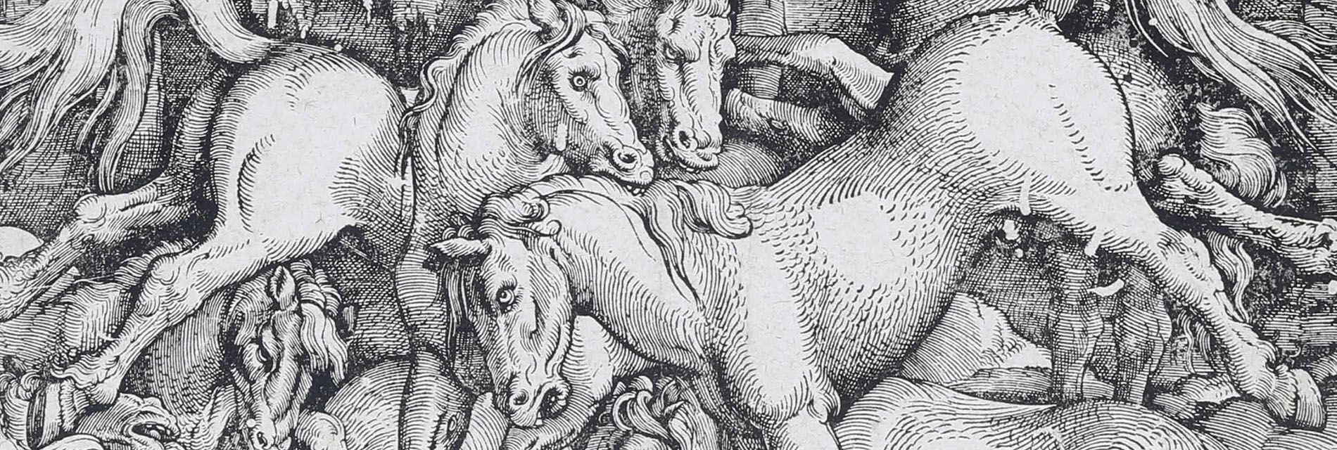 Libri Antichi, Stampe, Incisioni e Carte Geografiche | Cambi Time