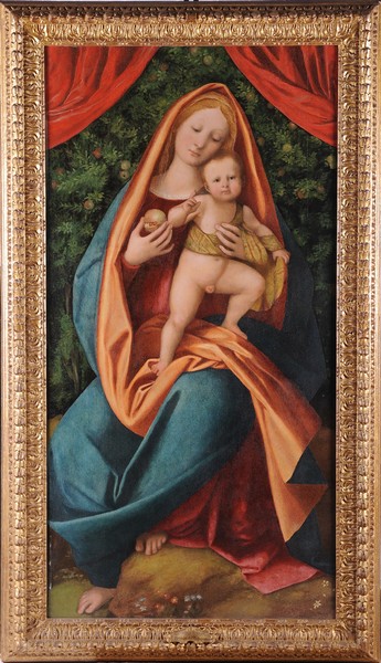 Gaudenzio Ferrari (1470-1546), Madonna con Bambino
