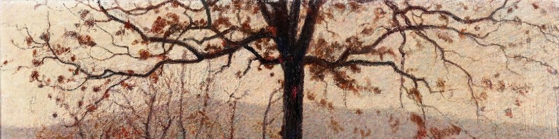 Dipinti del XIX e XX secolo