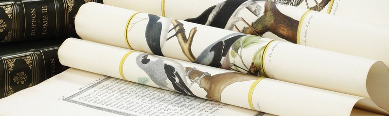 Libri Antichi e Rari