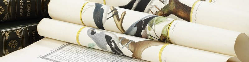 Storia - Casa d'aste